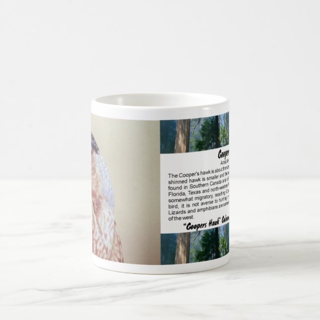 Mug Portrait de faucon de tonneliers (Centre)