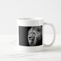 Portrait de Lion noir blanc - Photographie d'anima