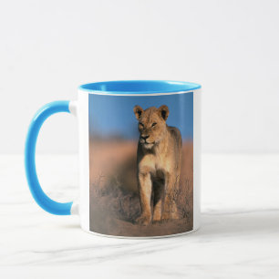Mug Portrait de lionne (Panthera Leo)