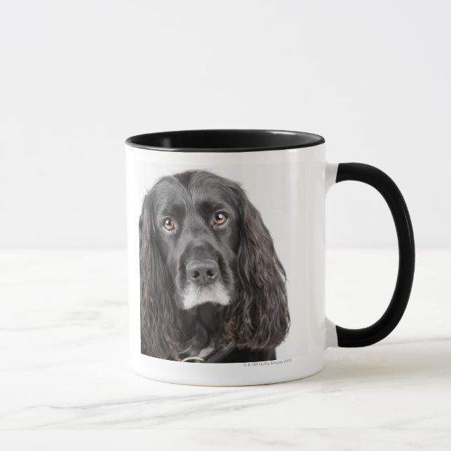 Mug Portrait de studio de cocker (Droite)