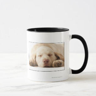 Mug Portrait de studio de labrador retriever jaune