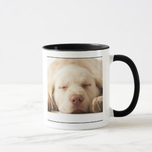 Mug Portrait de studio de labrador retriever jaune