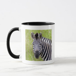 Mug Portrait de zèbre des plaines, Hluhluwe-Umfolozi G
