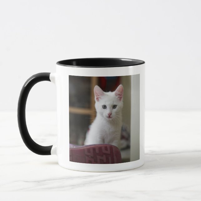 Mug Portrait d'un chaton blanc, Suède (Gauche)
