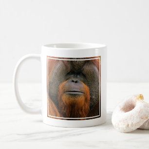 Mug Portrait d'un orang-outan mâle, Géorgie, États-Uni
