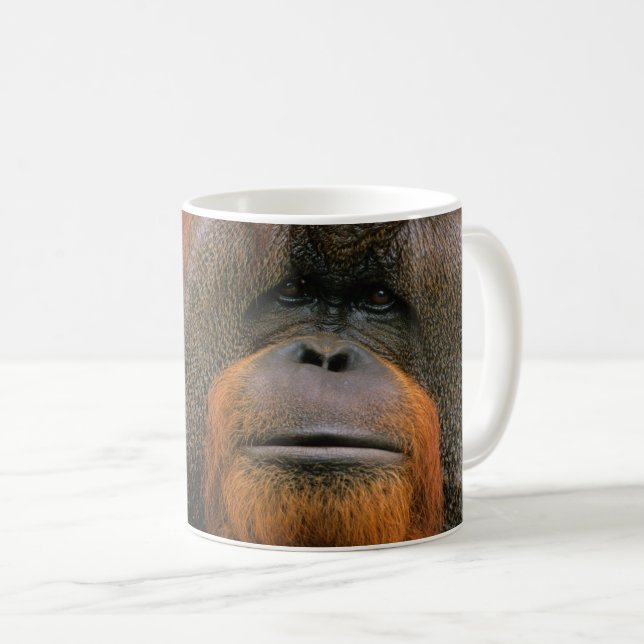 Mug Portrait d'un orang-outan mâle, Géorgie, États-Uni (Devant droit)