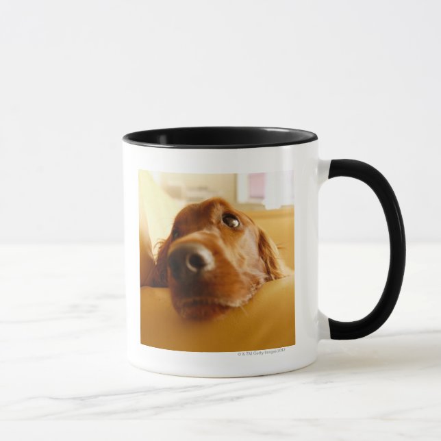 Mug Poseur irlandais sur le sofa (Droite)