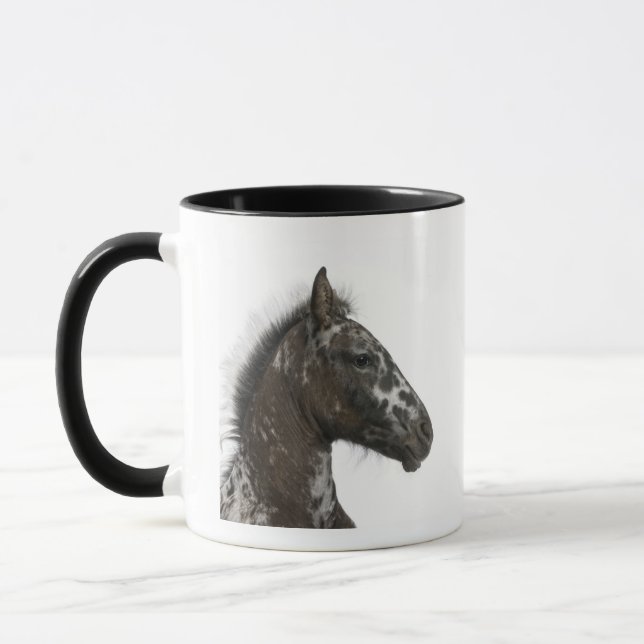Mug poulain de croisement entre un Appaloosa et un a (Gauche)