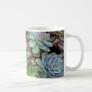 Mug Poules et poussins plantes