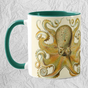 Mug Poulpe Vintage Calmar Gamochonia par Ernst Haeckel