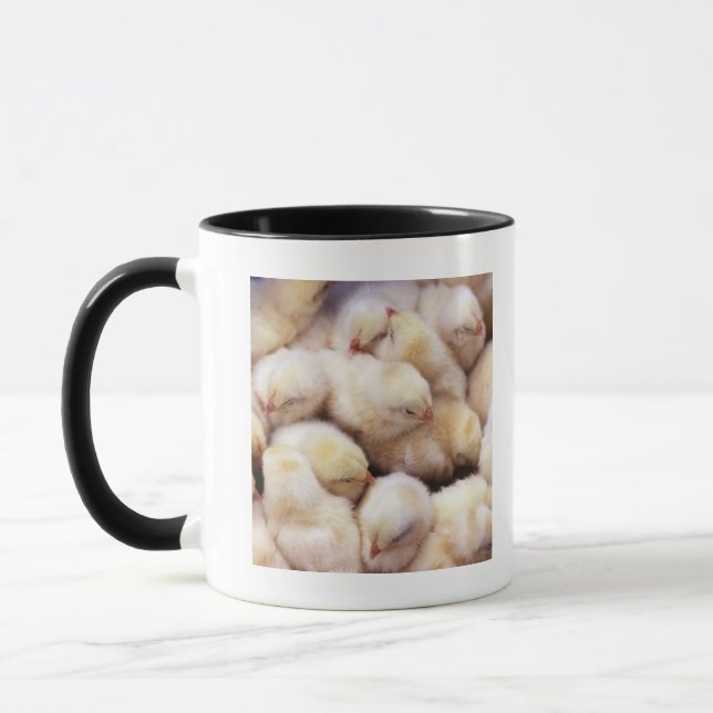 Mug poussins, couvée des poulets (Gauche)