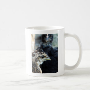 Mug Poussins de basse-cour mixtes