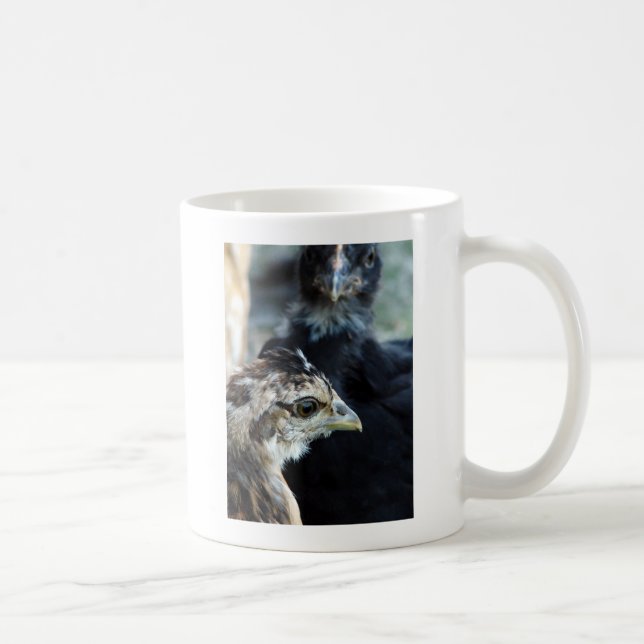 Mug Poussins de basse-cour mixtes (Droite)