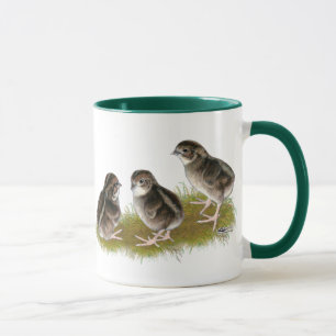 Mug Poussins de cailles de Coturnix