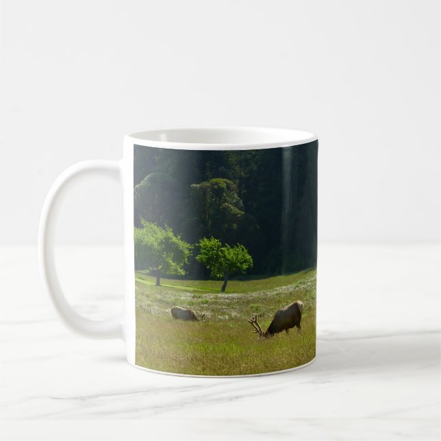 Mug Prairie aux élans du parc national de Redwood (Gauche)