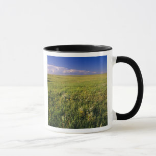 Mug Prairie de graminées courtes dans le nord-est éloi