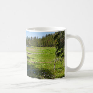 Mug Prairie de Yosemite avec des étoiles filantes