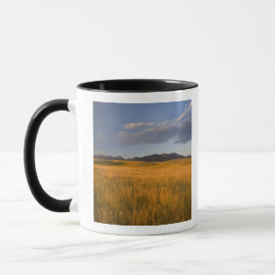 Mug Prairies dans les contreforts de