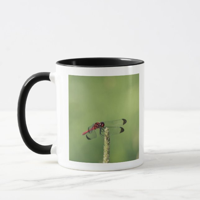 Mug Préfecture de Yamanashi, Honshu, Japon (Gauche)