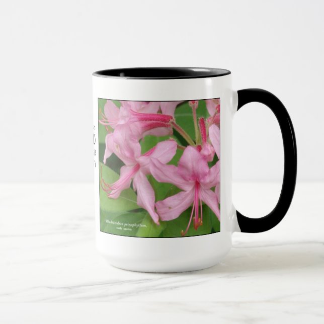 Mug Prinophyllum de rhododendron, azalée tôt (Droite)