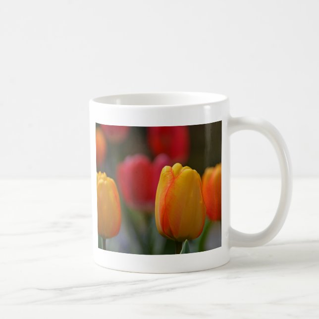Mug Printemps en Couleurs (Droite)