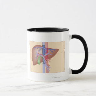 Mug Procédure de greffe de foie