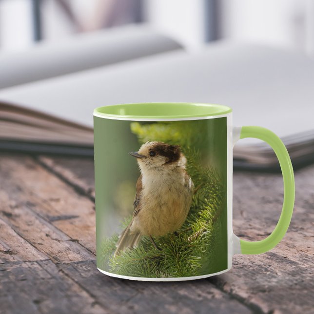Mug Profil d'un geai gris mignon / Whiskeyjack (Portrait of a Grey Jay Whiskeyjack in the Tree 11 oz Coffee Mug Cover Photo.)