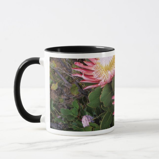 Mug Protéa roi (Protea Cynaroides), Helderberg (Gauche)