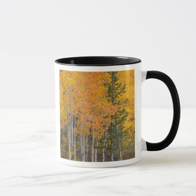 Mug Provo River et peupliers faux-trembles (Droite)