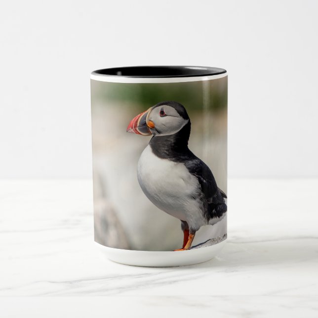 Mug Puffin Atlantique en Machias, Maine (Centre)
