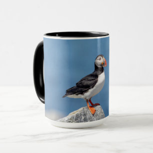 Mug Puffin de l'Atlantique au Machias, Maine