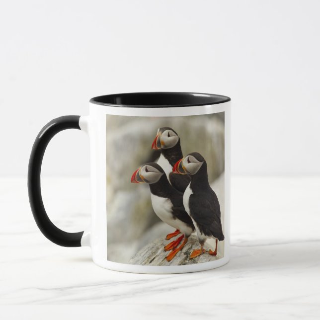 Mug Puffins de l'Atlantique sur l'île des phoques Mach (Gauche)