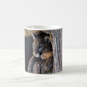 Mug Puma dans une grotte