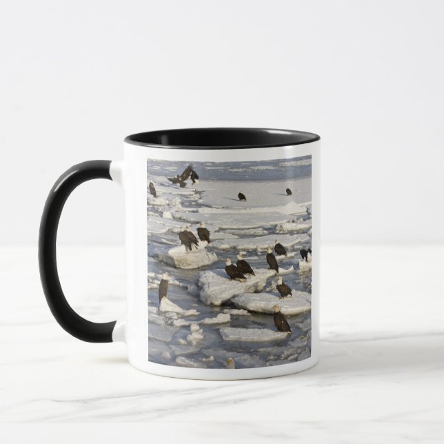 Mug Pygargue à tête blanche, Haliaeetus leucocephalus, (Gauche)