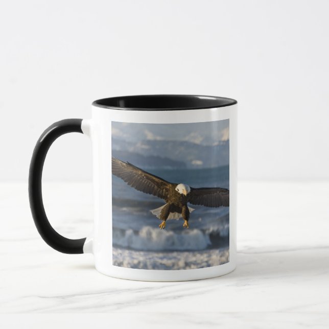 Mug Pygargue à tête blanche, Haliaeetus leucocephalus, (Gauche)
