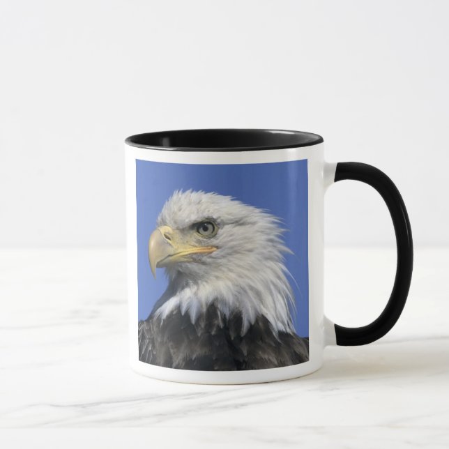 Mug Pygargue à tête blanche, (Haliaeetus leucocephalus (Droite)