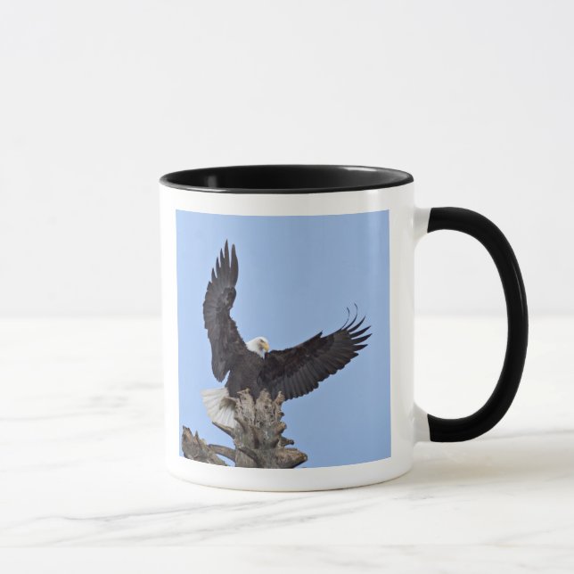 Mug Pygargue à tête blanche (Haliaeetus leucocephalus) (Droite)