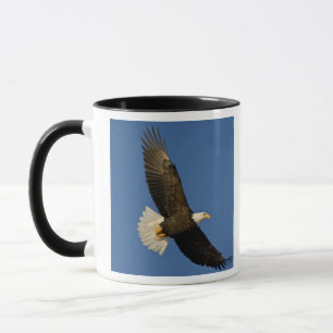 Mug Pygargue à tête blanche, Haliaeetus leucocephalus,