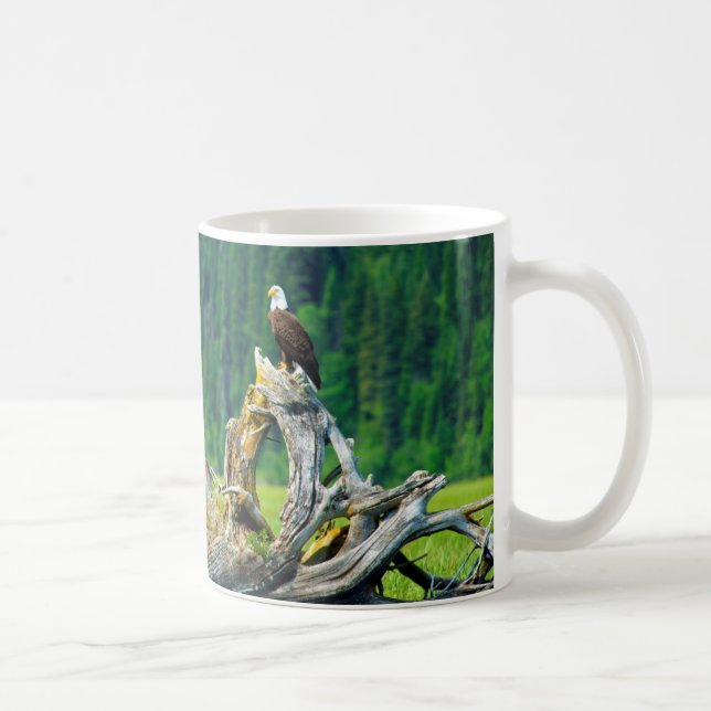 Mug Pygargue à tête blanche perché sur une branche (Droite)