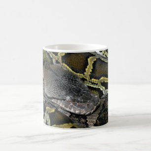 Mug Python molurus bivittatus
