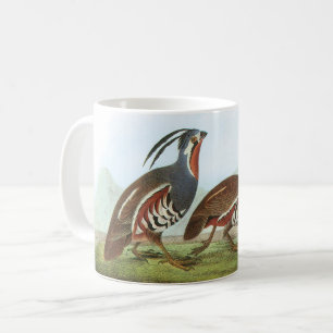 Mug Quail de montagne par Audubon