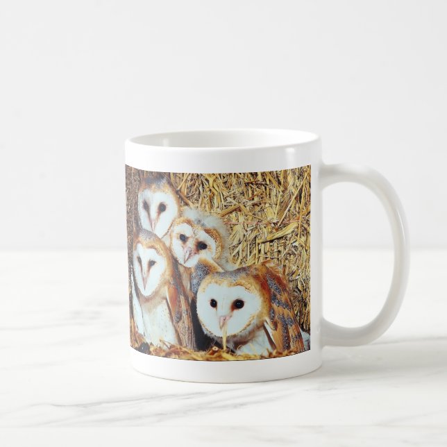 Mug Quartet des hiboux de grange (Droite)