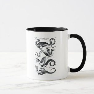 Mug Quatre types de dragon
