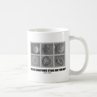 Mug Quelle étape embryonnaire êtes-vous dedans ?