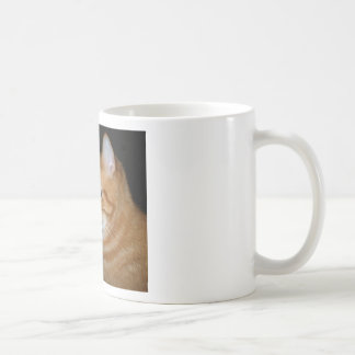 Mug Quelle partie de "Meow" vous ne comprenez pas
