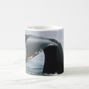 Mug Queue de baleine de bosse