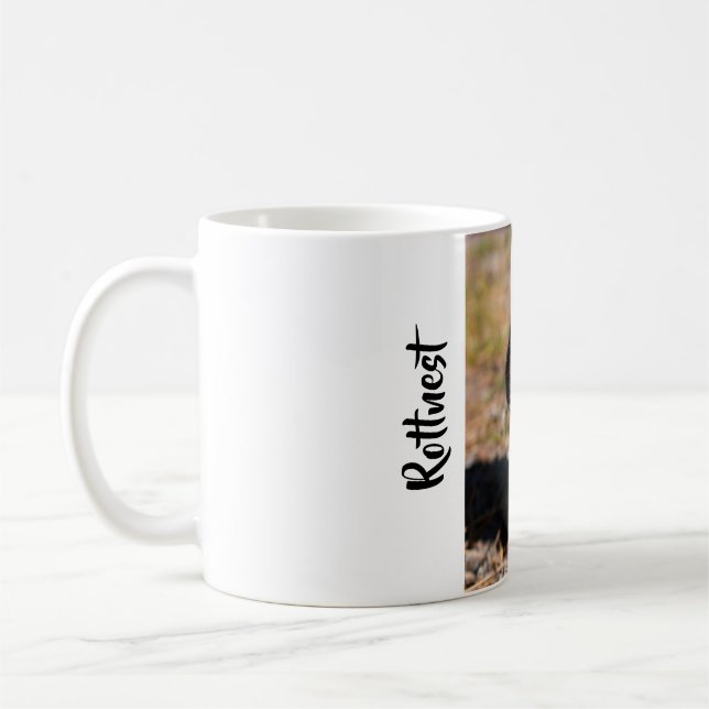Mug Quokka sur Rottnest Island (Gauche)