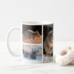 Mug Quokkas d'Australie