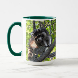 Mug Raccoon dans un arbre