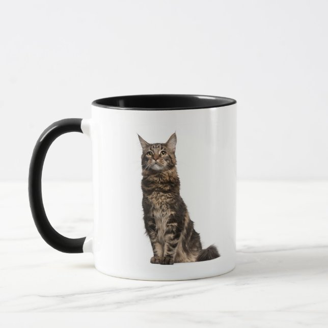Mug Ragondin du Maine (8 mois) (Gauche)